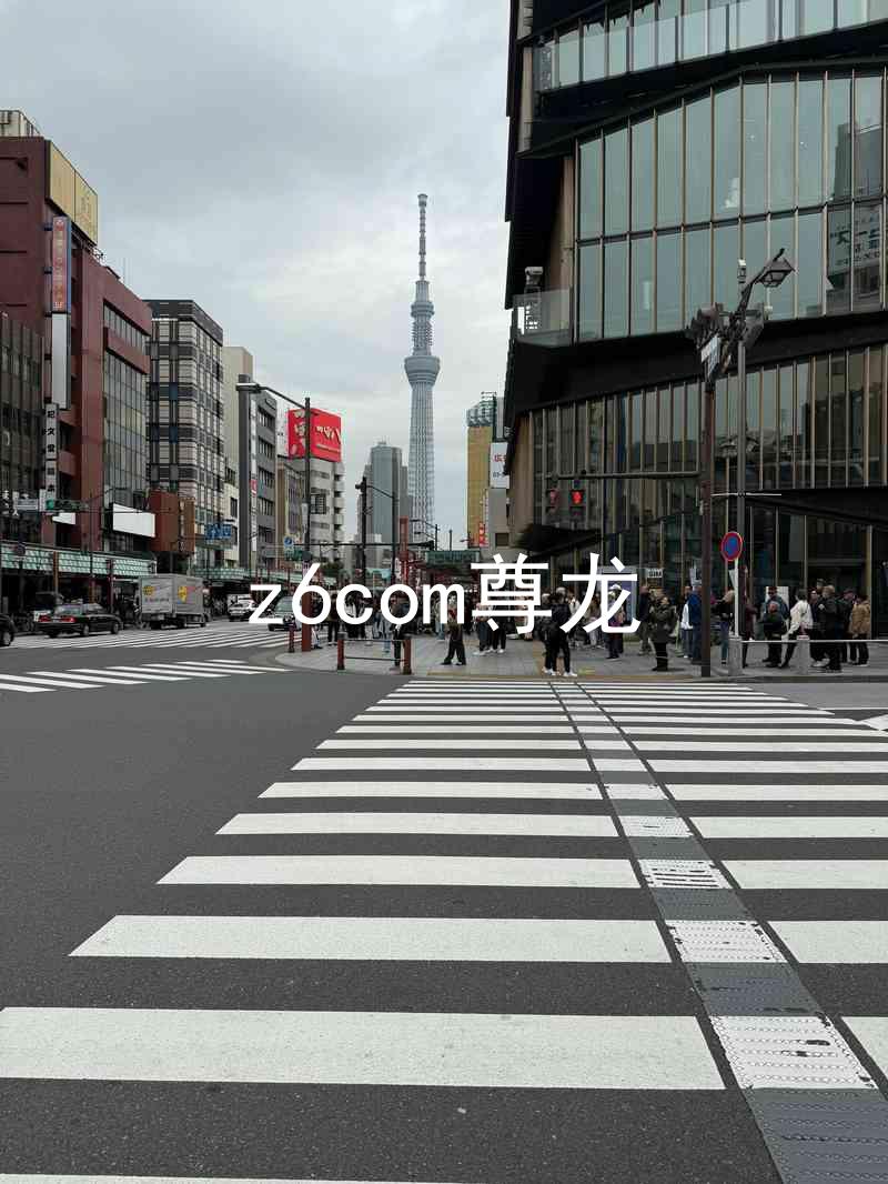 z6com尊龙