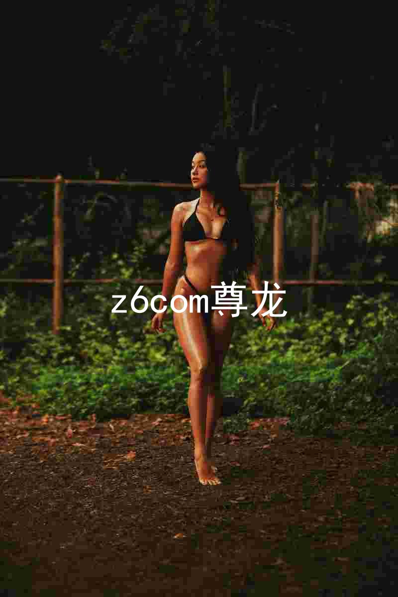 z6com尊龙